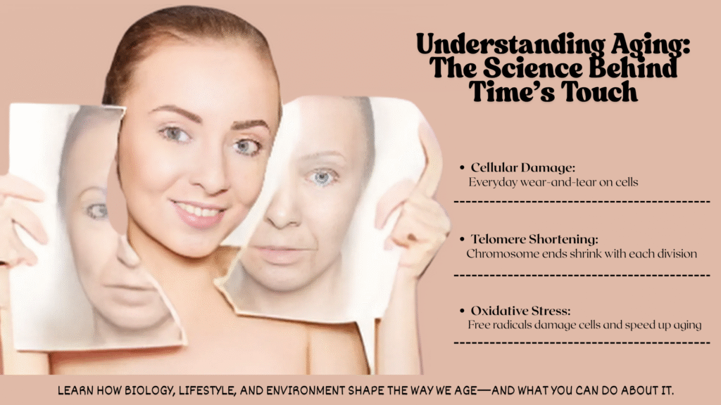 anti Aging