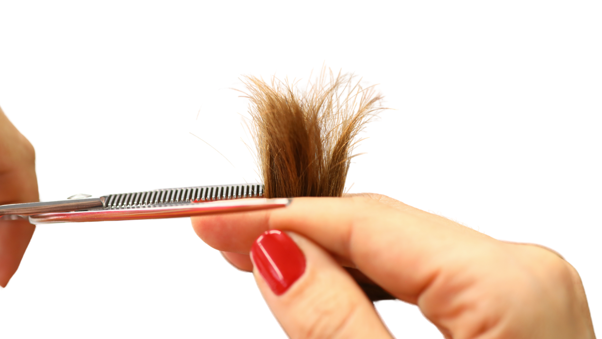 Hair Care Tips